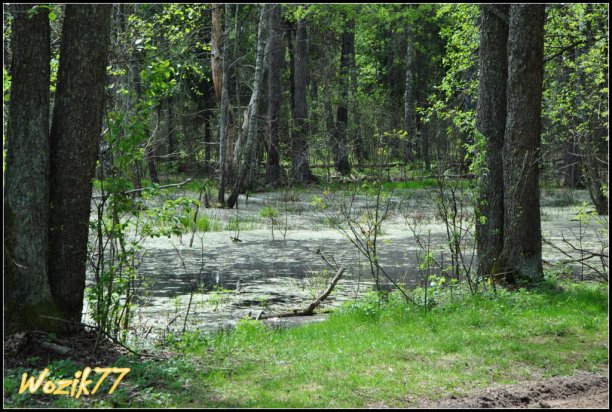 Shrap-Drakers.pl | Shrap Drakers Fishing | Wędkarstwo 