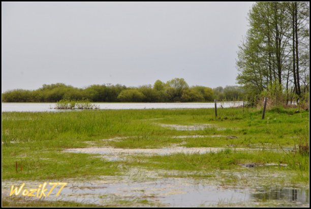 Shrap-Drakers.pl | Shrap Drakers Fishing | Wędkarstwo 