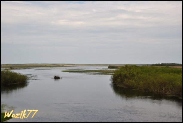 Shrap-Drakers.pl | Shrap Drakers Fishing | Wędkarstwo 
