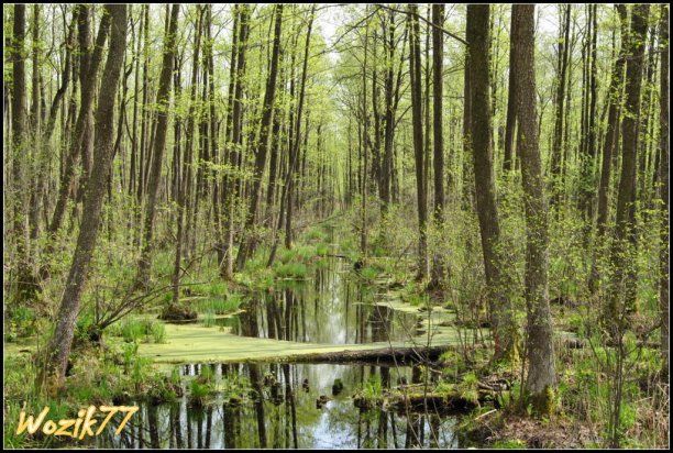 Shrap-Drakers.pl | Shrap Drakers Fishing | Wędkarstwo 