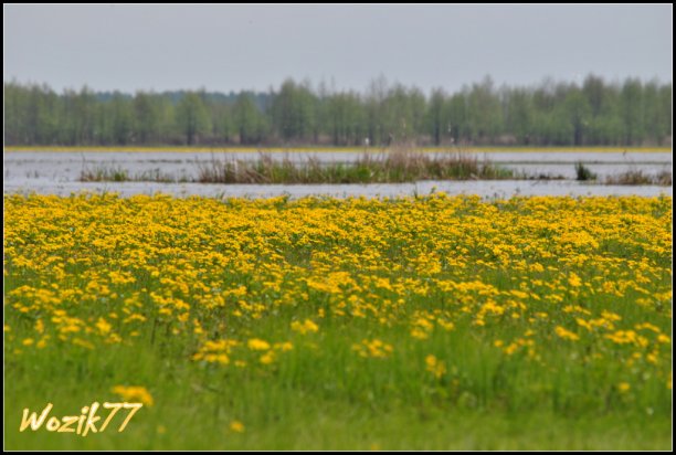 Shrap-Drakers.pl | Shrap Drakers Fishing | Wędkarstwo 