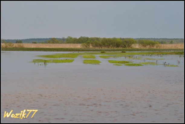 Shrap-Drakers.pl | Shrap Drakers Fishing | Wędkarstwo 