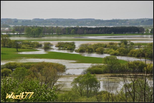 Shrap-Drakers.pl | Shrap Drakers Fishing | Wędkarstwo 