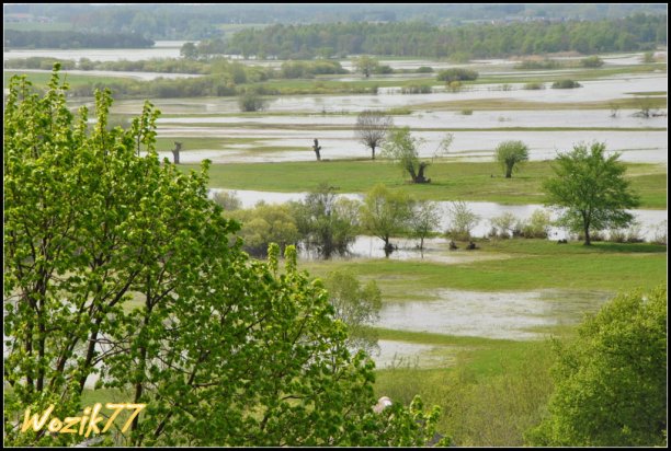 Shrap-Drakers.pl | Shrap Drakers Fishing | Wędkarstwo 