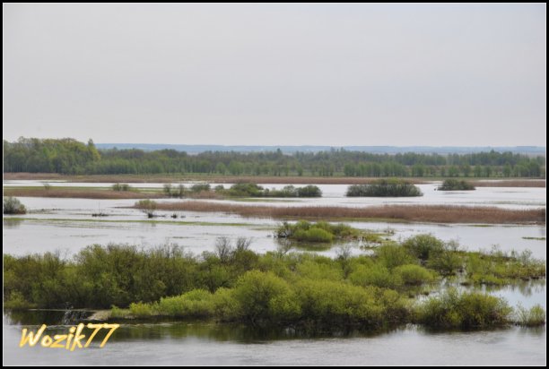 Shrap-Drakers.pl | Shrap Drakers Fishing | Wędkarstwo 