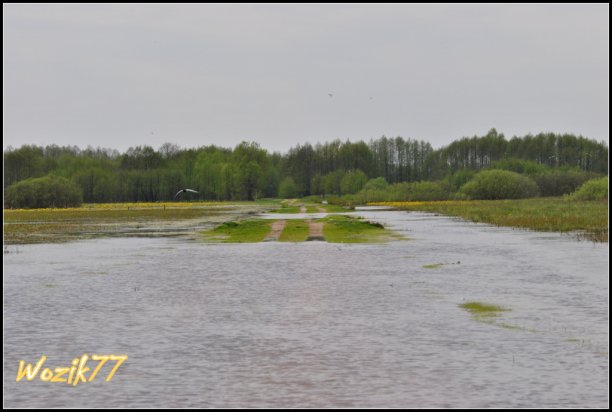 Shrap-Drakers.pl | Shrap Drakers Fishing | Wędkarstwo 