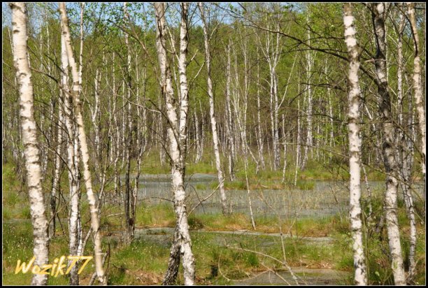 Shrap-Drakers.pl | Shrap Drakers Fishing | Wędkarstwo 