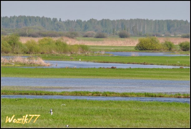 Shrap-Drakers.pl | Shrap Drakers Fishing | Wędkarstwo 