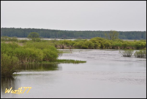 Shrap-Drakers.pl | Shrap Drakers Fishing | Wędkarstwo 