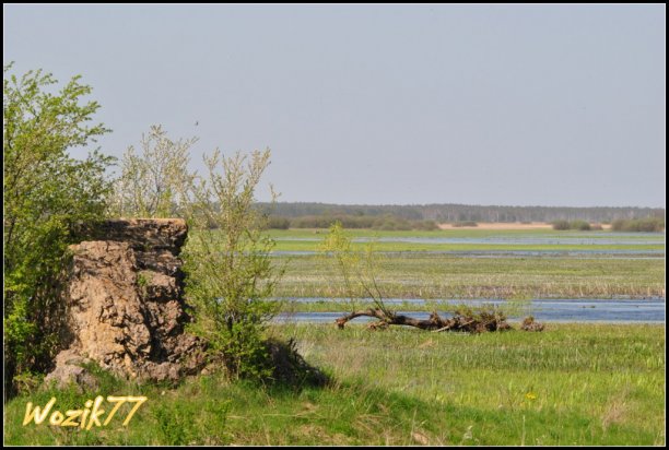 Shrap-Drakers.pl | Shrap Drakers Fishing | Wędkarstwo 