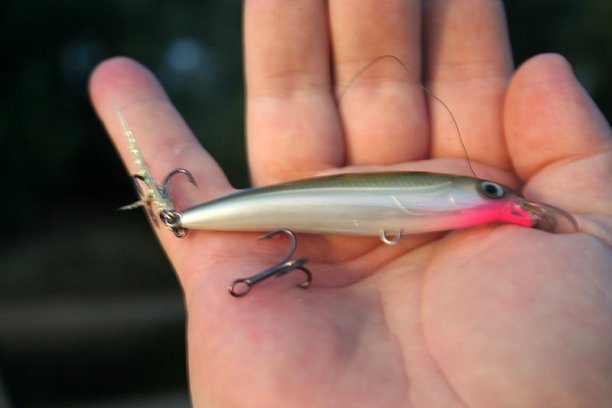 Shrap-Drakers.pl | Shrap Drakers Fishing | Wędkarstwo 