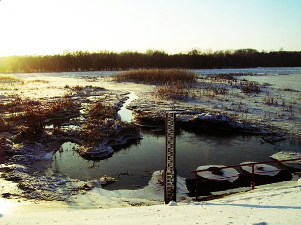 Shrap-Drakers.pl | Shrap Drakers Fishing | Wędkarstwo 