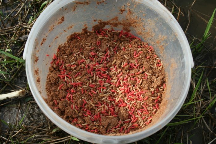 Shrap-Drakers.pl | Shrap Drakers Fishing | Wędkarstwo 