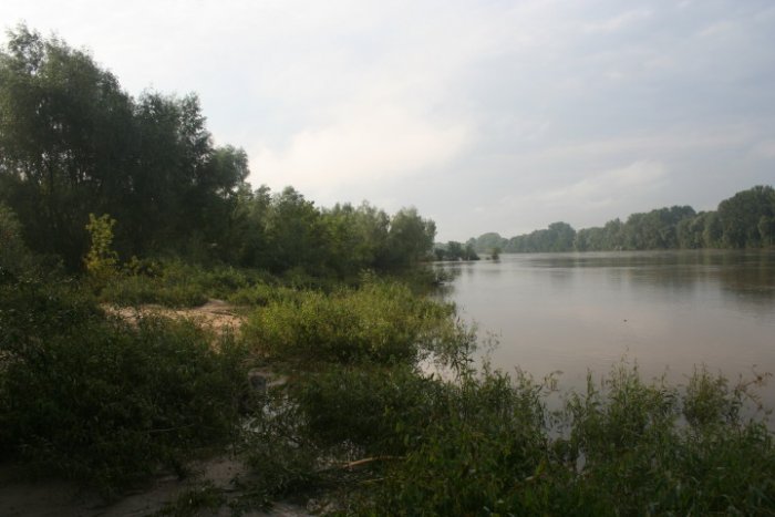 Shrap-Drakers.pl | Shrap Drakers Fishing | Wędkarstwo 