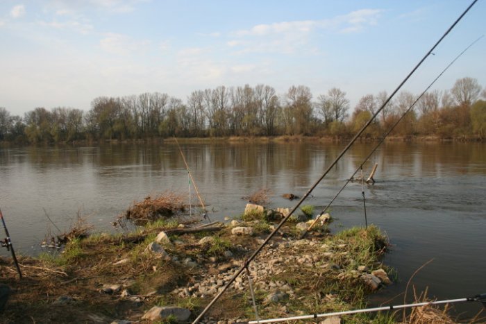 Shrap-Drakers.pl | Shrap Drakers Fishing | Wędkarstwo 