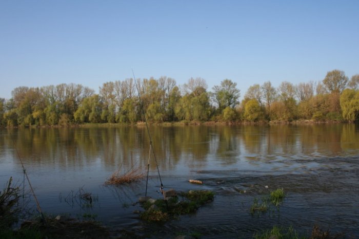 Shrap-Drakers.pl | Shrap Drakers Fishing | Wędkarstwo 