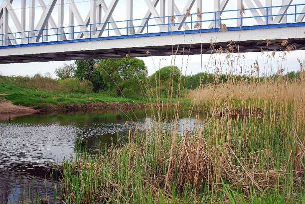 Shrap-Drakers.pl | Shrap Drakers Fishing | Wędkarstwo 