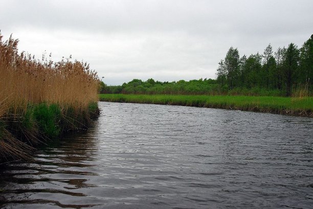 Shrap-Drakers.pl | Shrap Drakers Fishing | Wędkarstwo 