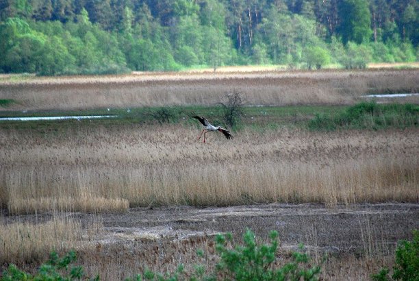 Shrap-Drakers.pl | Shrap Drakers Fishing | Wędkarstwo 