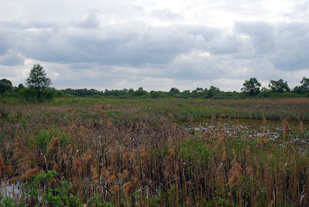 Shrap-Drakers.pl | Shrap Drakers Fishing | Wędkarstwo 