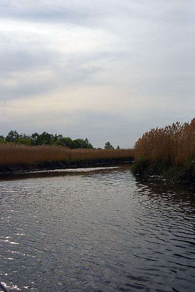 Shrap-Drakers.pl | Shrap Drakers Fishing | Wędkarstwo 