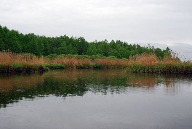 Shrap-Drakers.pl | Shrap Drakers Fishing | Wędkarstwo 