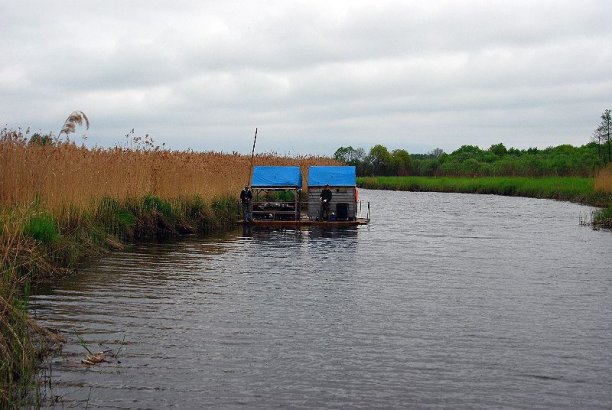 Shrap-Drakers.pl | Shrap Drakers Fishing | Wędkarstwo 