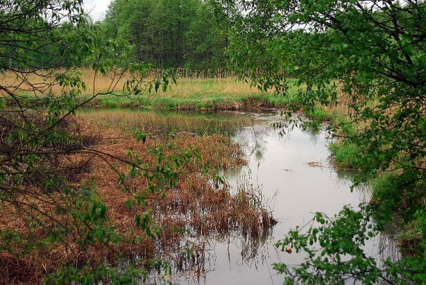 Shrap-Drakers.pl | Shrap Drakers Fishing | Wędkarstwo 