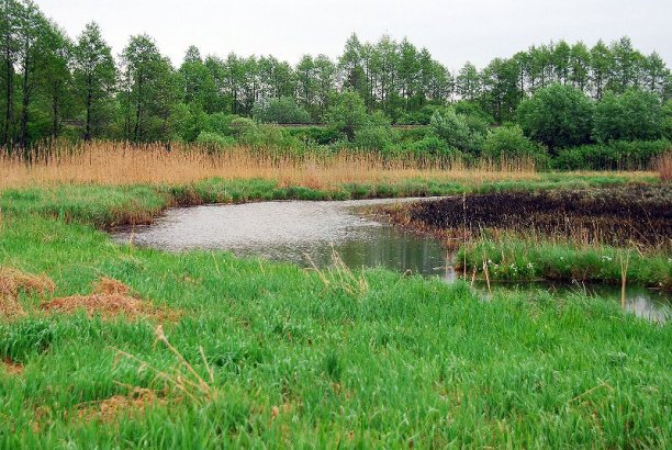 Shrap-Drakers.pl | Shrap Drakers Fishing | Wędkarstwo 