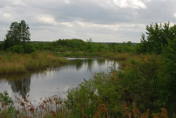 Shrap-Drakers.pl | Shrap Drakers Fishing | Wędkarstwo 