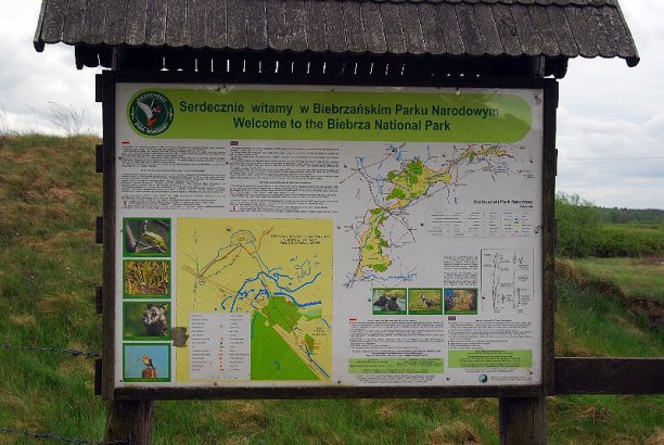 Shrap-Drakers.pl | Shrap Drakers Fishing | Wędkarstwo 