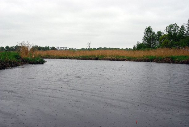 Shrap-Drakers.pl | Shrap Drakers Fishing | Wędkarstwo 