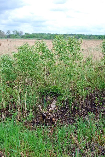 Shrap-Drakers.pl | Shrap Drakers Fishing | Wędkarstwo 