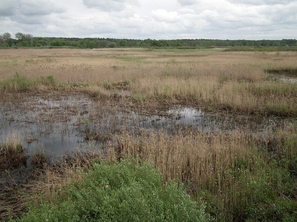 Shrap-Drakers.pl | Shrap Drakers Fishing | Wędkarstwo 