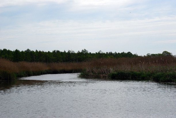 Shrap-Drakers.pl | Shrap Drakers Fishing | Wędkarstwo 