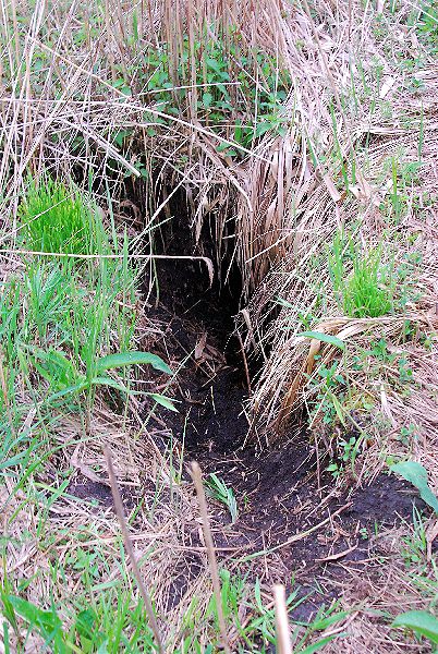 Shrap-Drakers.pl | Shrap Drakers Fishing | Wędkarstwo 