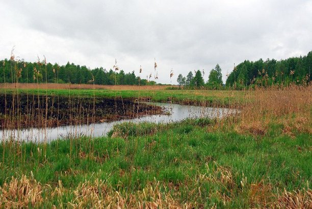 Shrap-Drakers.pl | Shrap Drakers Fishing | Wędkarstwo 