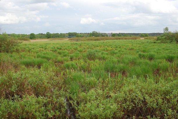 Shrap-Drakers.pl | Shrap Drakers Fishing | Wędkarstwo 