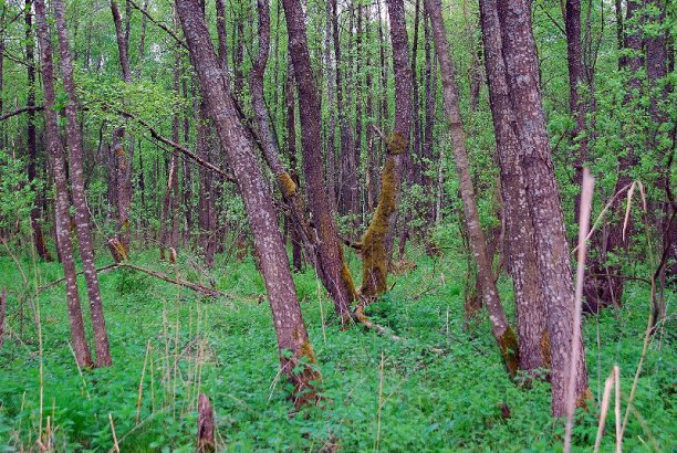 Shrap-Drakers.pl | Shrap Drakers Fishing | Wędkarstwo 