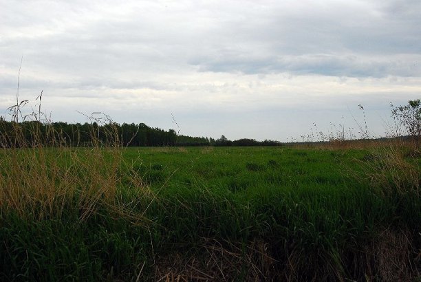 Shrap-Drakers.pl | Shrap Drakers Fishing | Wędkarstwo 