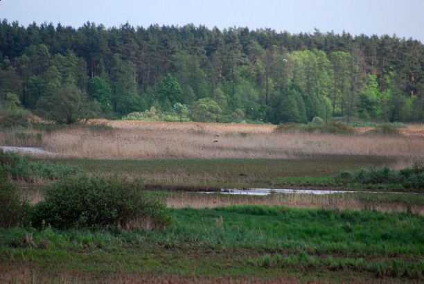 Shrap-Drakers.pl | Shrap Drakers Fishing | Wędkarstwo 