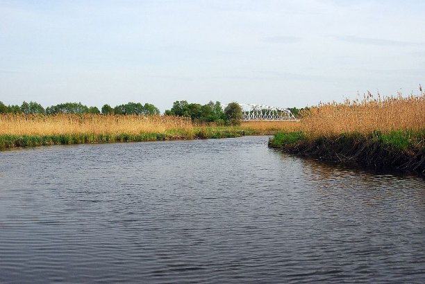 Shrap-Drakers.pl | Shrap Drakers Fishing | Wędkarstwo 