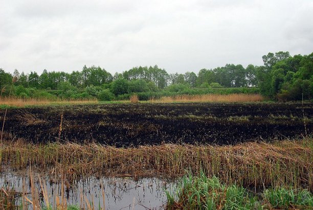 Shrap-Drakers.pl | Shrap Drakers Fishing | Wędkarstwo 