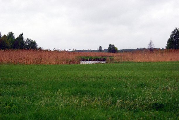 Shrap-Drakers.pl | Shrap Drakers Fishing | Wędkarstwo 