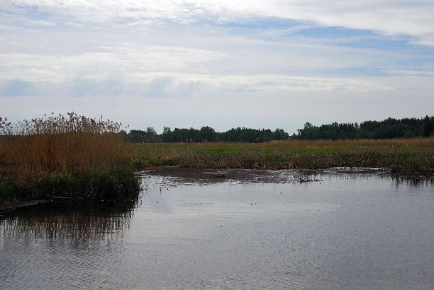 Shrap-Drakers.pl | Shrap Drakers Fishing | Wędkarstwo 