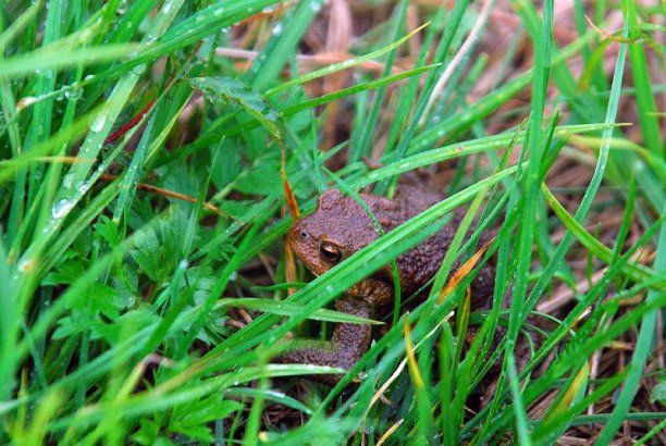 Shrap-Drakers.pl | Shrap Drakers Fishing | Wędkarstwo 