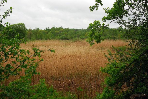 Shrap-Drakers.pl | Shrap Drakers Fishing | Wędkarstwo 