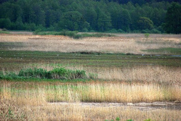 Shrap-Drakers.pl | Shrap Drakers Fishing | Wędkarstwo 