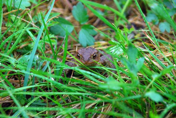 Shrap-Drakers.pl | Shrap Drakers Fishing | Wędkarstwo 