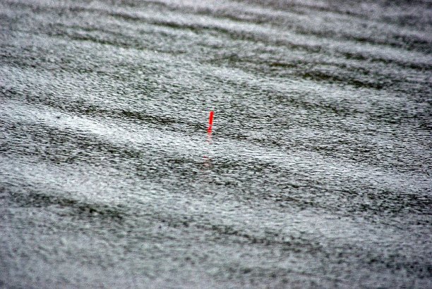 Shrap-Drakers.pl | Shrap Drakers Fishing | Wędkarstwo 